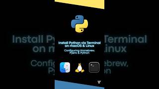 Installing Python on macOS and Linux using the terminal 😎 #python #coding #apple #shorts #tech #fyp Information