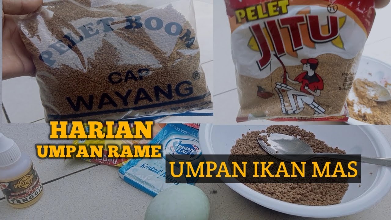 HARIAN,... umpan ikan mas rame#umpanjitu #umpanharian #mancingikanmas #