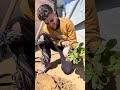 قررت أعمل الخيمه جنينة
