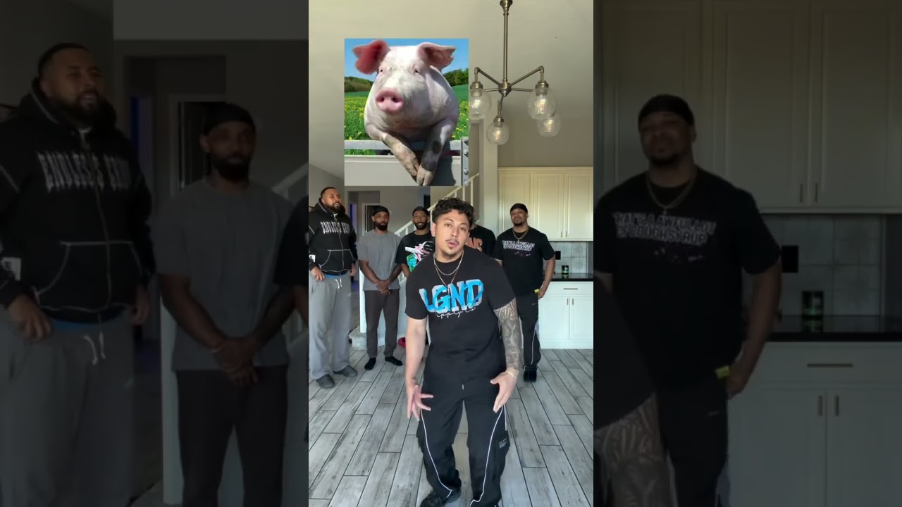 NONCHALANT ANIMALS #shorts