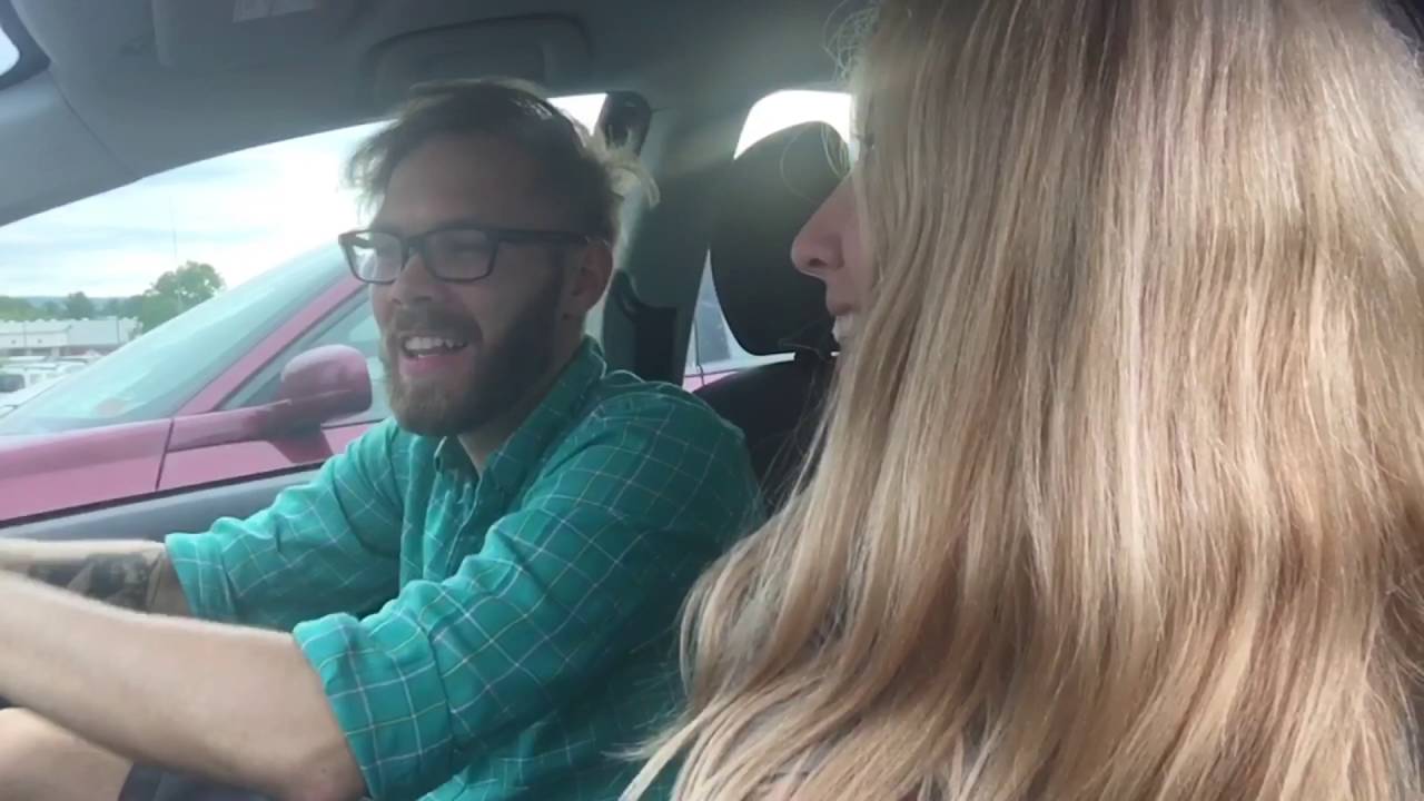 orphan معنى Kittens at the Mall!