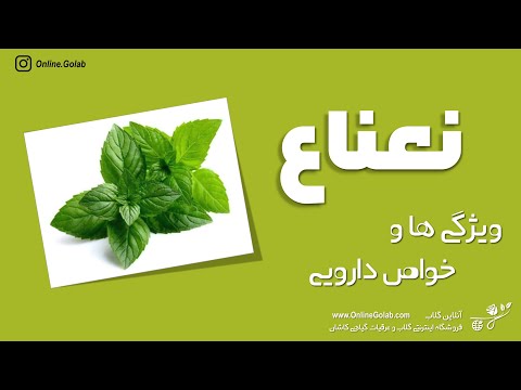 خواص شگفت انگیز عرق نعنا