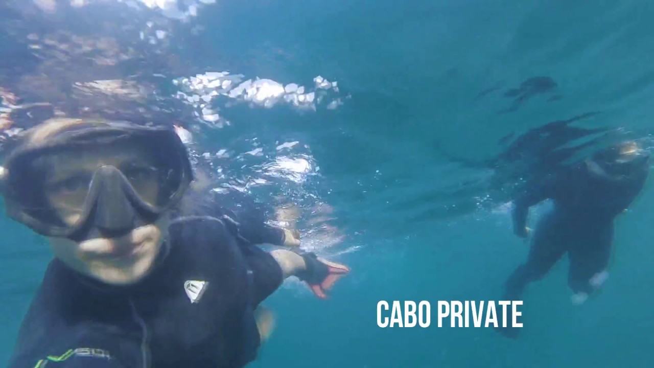 Private Scuba Diving in Cabo With Kris and Ben