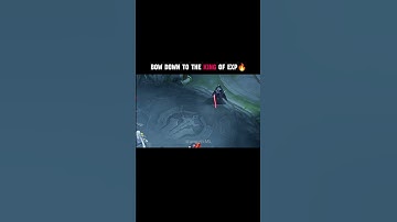 what is counter for Argus?