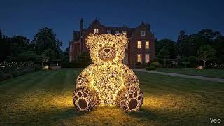 From Wire Frame to Living Teddy Bear- Magical Garden Transformation Timelapse