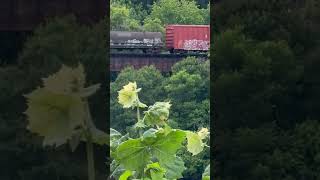 Watco head to Northport through Black Warrior 😎 #train #usa #shorts #viral #freighttrain #railway