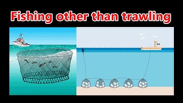 Quick guide - Learn Ships Lights and the Nav lights for jobs duties restrictions Colregs navigation