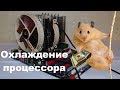 Охлаждение процессора: Хомяк и маркетинг