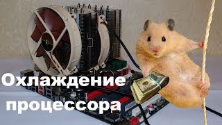 видео: ХОМЯК И МАРКЕТИНГ. Охлаждение процессора картинка: ХОМЯК И МАРКЕТИНГ. Охлаждение процессора