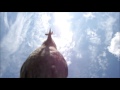 The Wild Bird &amp; Worm Sitting On My Camera!