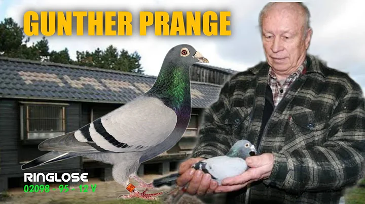 The Master Breeder and 7x GOLDEN DUIF Winner From ...