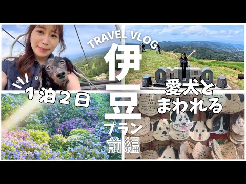 【犬連れ伊豆旅】愛犬と行く1泊2日モデルコース｜大室山・下田公園・ホテル四季の蔵【前編】