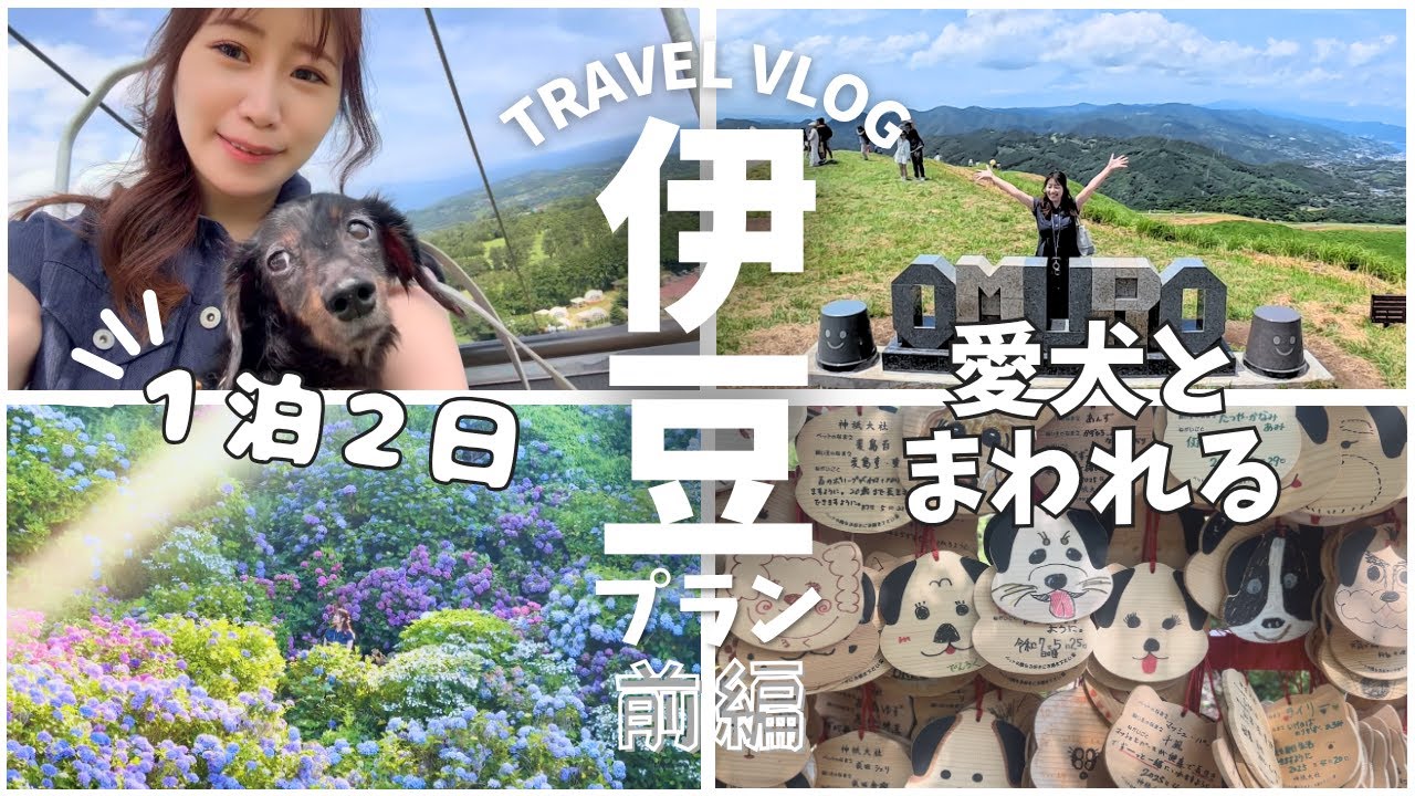 【犬連れ伊豆旅】愛犬と行く1泊2日モデルコース｜大室山・下田公園・ホテル四季の蔵【前編】