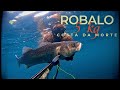 ☑️𝑶𝑩𝑱𝑬𝑻𝑰𝑽𝑶 𝑪𝑼𝑴𝑷𝑳𝑰𝑫𝑶 || ROBALO 5 KG Y SARGOS || PESCA SUBMARINA COSTA DA MORTE