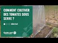 [TUTO] Comment cultiver les tomates sous serre  ? - Jardinerie Gamm vert