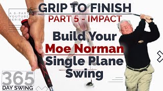 Build a 365-Day 'Moe Norman Single Plane Golf Swing' — Impact to Release screenshot 5