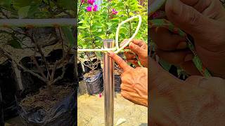 "One Knot to Rule Them All: Essential Rope Skill💯😱💪