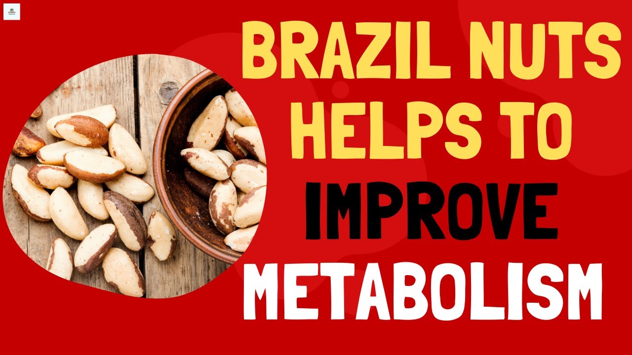 🔸Brazil Nuts Helps to Improve Metabolism Amazing Benefits of Brazil