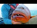 Extreme Kayak Fishing for HUGE Snapper Offshore [CATCH & COOK]