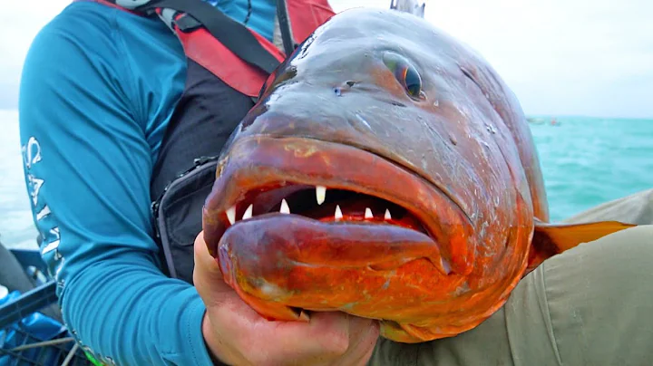 Extreme Kayak Fishing for HUGE Snapper Offshore [CATCH & COOK]