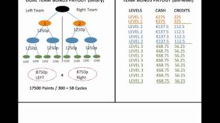 EvryAffiliates binary/uni-level/bonus credits