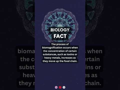 Видео: Что такое биомагнификация в биологии?