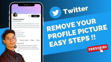 How to Remove Your Profile Picture on Twitter !