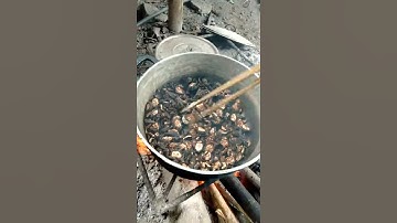 Ngâm rượu chuối hột rừng