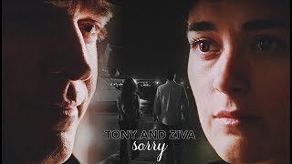 Tony & Ziva | Sorry