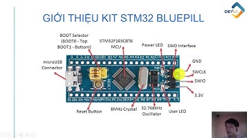 1.2.3 Giới thiệu Kit STM32F103C8, hệ thống Clock Tree, lập trình GPIO Output sử dụng nguồn Clock HSE