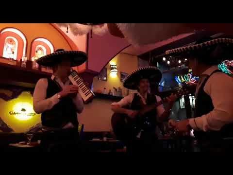 Mariachi Tits