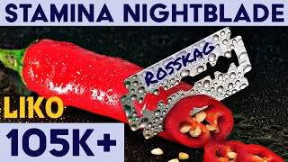 Stamina Nightblade PVE Build (105k+) - DW/DW | DW/Bow - Markarth - Elder Scrolls Online ESO