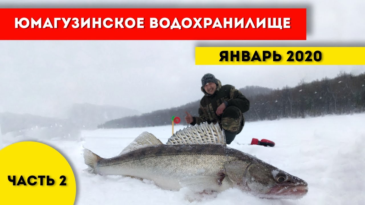 Волга ахтубинская пойма рыбалка