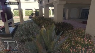 Jacky bird screenshot 4