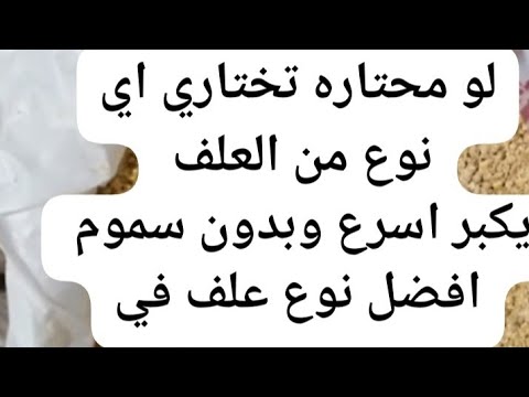 لو محتاره تختاري اي نوع علف يكبر اسرع ومن غير سموم افضل نوع علف في مصر