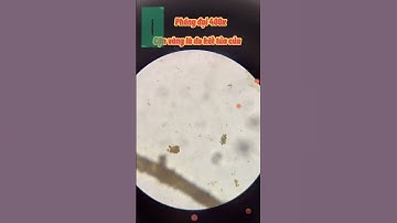 Trong Nước Giếng Khoan có gì??? #kinhhienvi #duoikinhhienvi #learnontiktok #dcgr #education