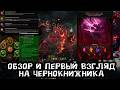 Новый герой Diablo 4  чернокнижник. Первый вгляд и впечатления.  300 парагон, аспекты, сеты, специал