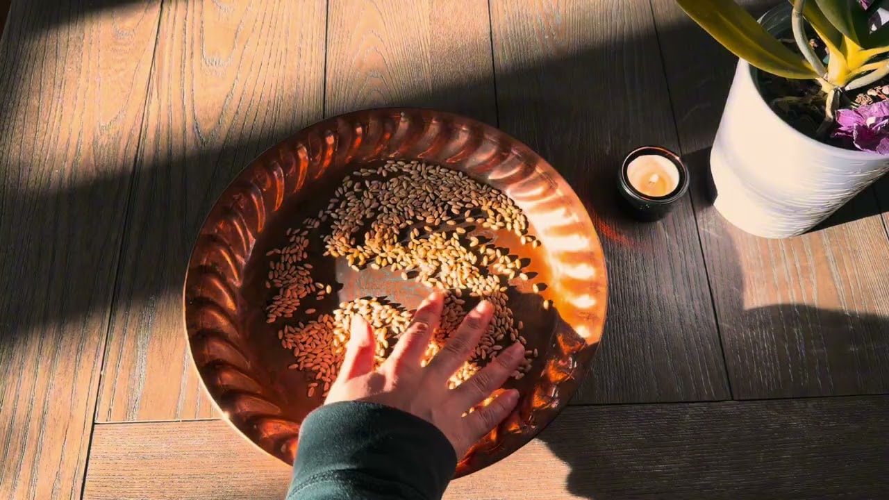 فال گندم اگر بار اول میبینی معجزه داری✨