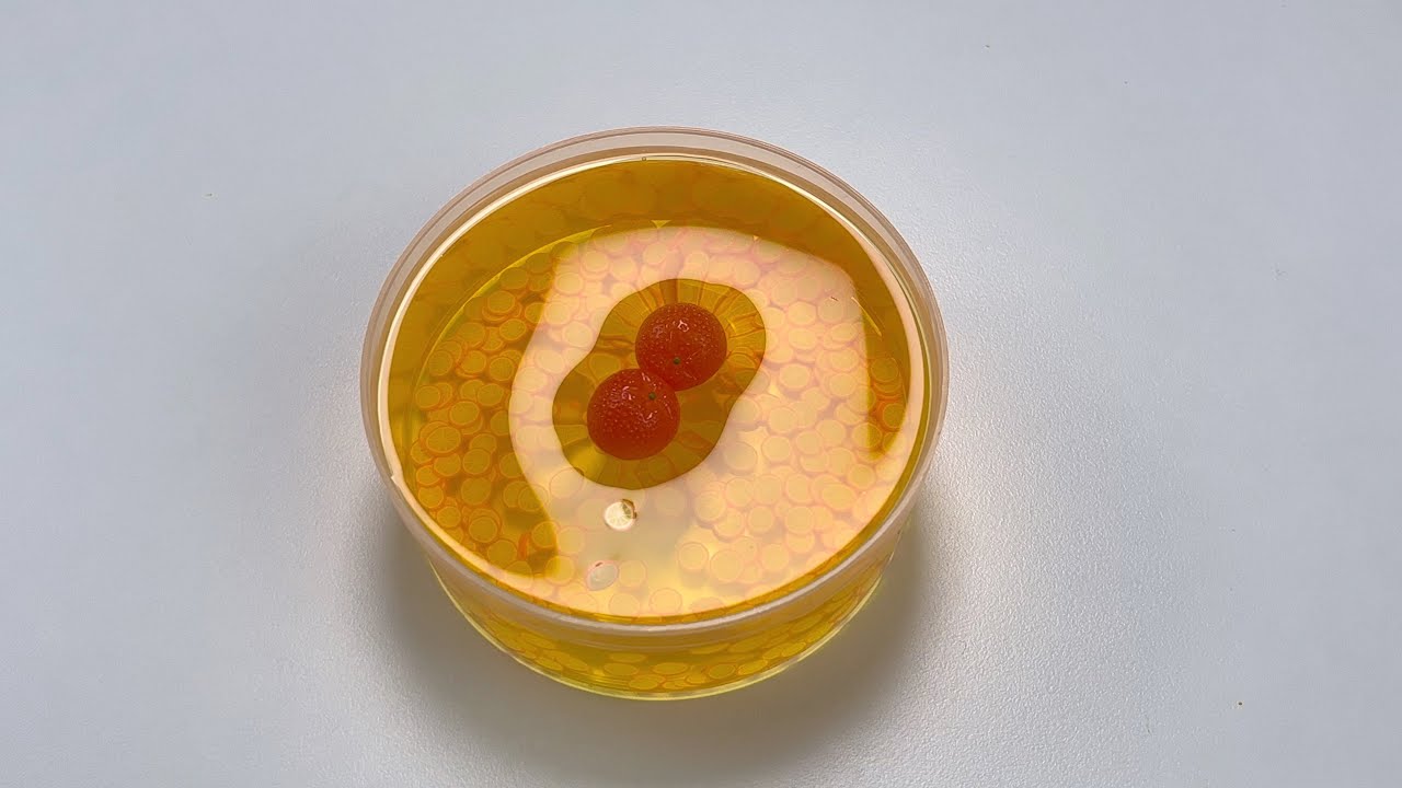 ASMR Slime | Slime creations | Clear slime | Jelly slime | Jelly cube slime video #22