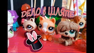 LPS сериал : Дело в шляпе / 2 серия / комедия / игрушки pet shop