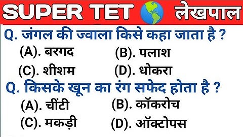 Super TET 2022 || UPTET 2023 Important Questions || Super TET || UP LEKHPAL || SSC || RRB || UPPET