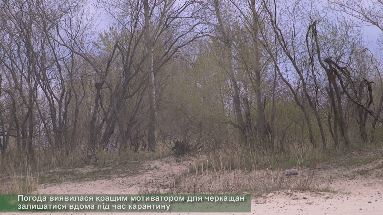 YouTube player