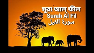 105.সূরা আল্‌ ফীল | سورة الفيل | Surah Al Fil | Elephant | অনুবাদ | The Holy Quran in Bangla !