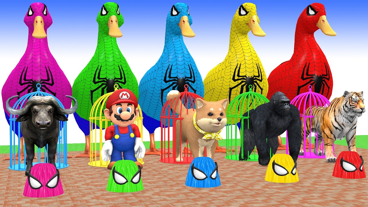 Long Slide Game With Cow Elephant Gorilla Hippopotamus Tiger 3d Animal Game Funny 3d Animals