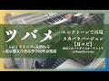 〈耳コピ〉『ツバメ〜スカパラバージョン | 東京スカパラダイスオーケストラ』を再現してみた 【エレクトーン(ELS-02C)】