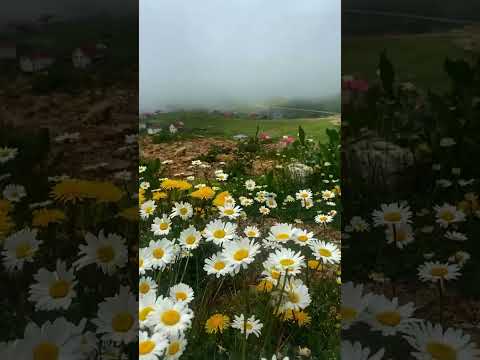 #maçka #sümelamanastırı #trabzon