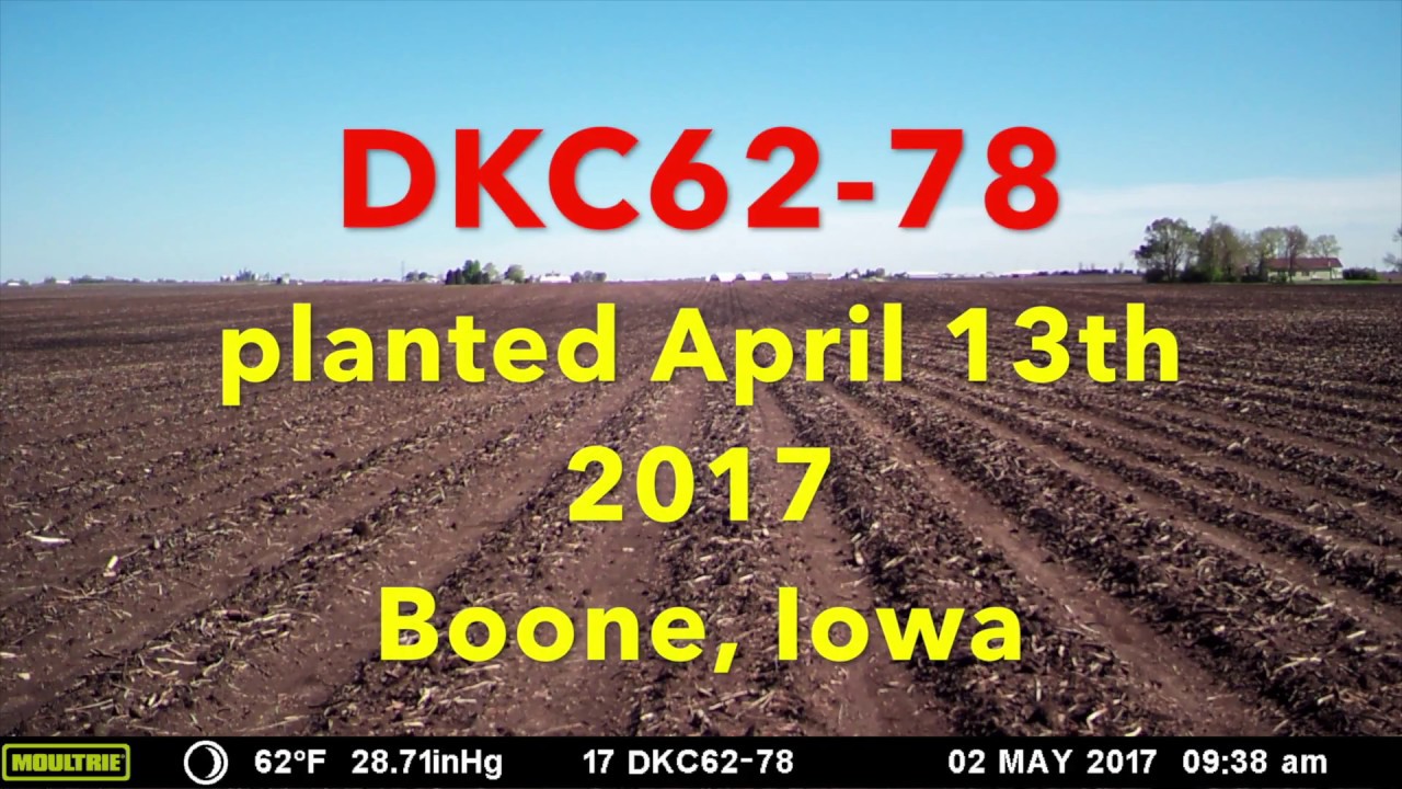 Weekly Product Spotlight - Timelapse