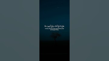 اكتب شيء تؤجر عليه 💚😴 / القارئ ياسر الدوسري | قران كريم