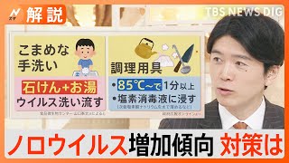 「消毒用エタノールはほぼ効果なし」“ノロウイルス”流行に警戒！新型コロナやインフルエンザよりも厄介なウイルス【Nスタ解説】｜TBS NEWS DIG