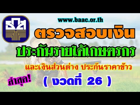 โอนแล้ว!"เงินประกันรายได้เกษตรกร" และเงินส่วนต่าง"ประกันราคาข้าว"[ งวดที่ 26 ] ปี 2563/64